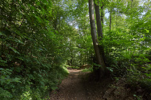 Gemeinde Töging Landkreis Altötting Engfurt Enfurter Kreuzweg (Dirschl Johann) Deutschland AÖ
